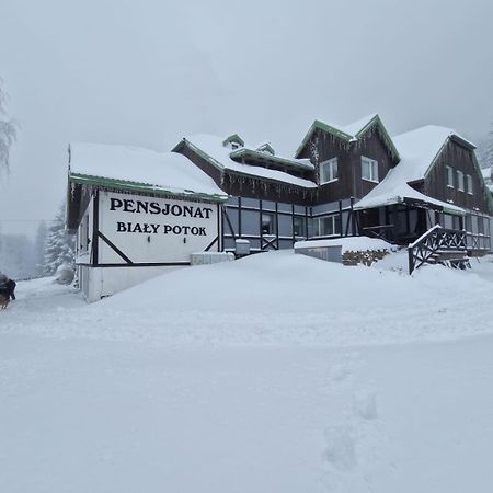 Bed and Breakfast Bialy Potok Zieleniec  Exterior foto